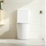 Rivo Gloss White Quiet flushing technology Rimless + Tornado Toilet Suite Rivo Gloss White Quiet flushing technology Rimless + Tornado Toilet Suite